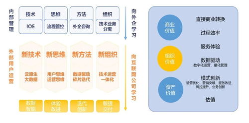 新澳天天开奖资料大全香港|解析数据如何有效应用_创新品.0.927