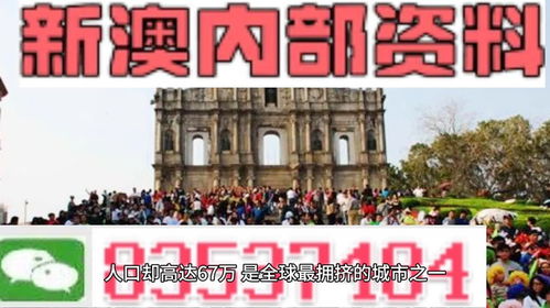 澳门免费资料+内部资料|精准解答解释落实_授权版.9.562