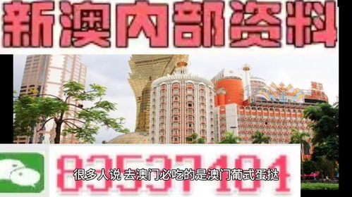 澳门免费资料+内部资料|精准解答解释落实_授权版.9.562